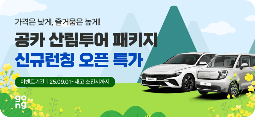 신차장기렌트카